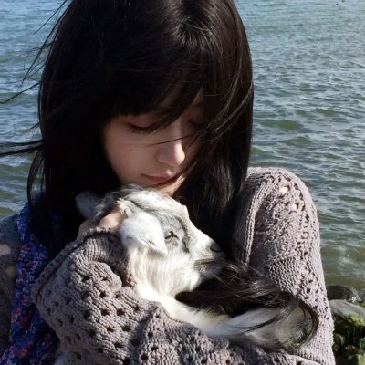 女神异闻录5 动画版 Dark Sun…